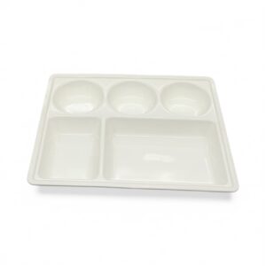 5in1 PORTION PLATE PLASTIC NY